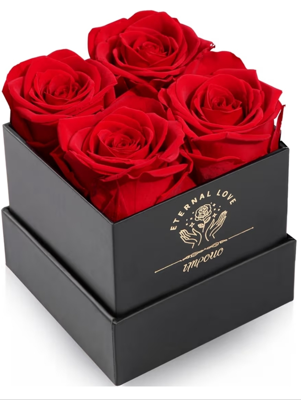 Preserved Rose Gift Box Mothers Day Roses in A Box, ❤️Mothers Day ❤️ NEW